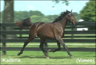 Kadena Tops Session One In Lexington