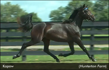 Lexington Sale Wraps Up