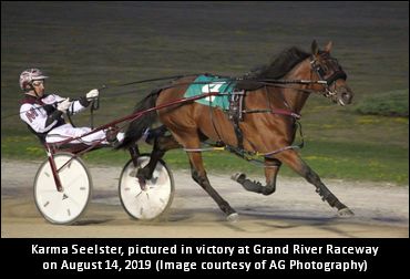 Seelster Tops Breeders’ Awards List