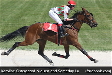 From Denmark To Canada, Under Saddle
