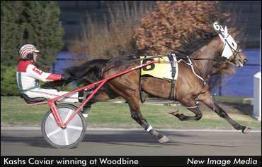 Kashs Caviar Surprises In Frank Ryan