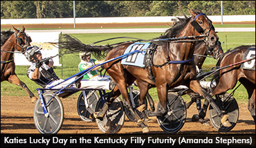 New Owner For Katies Lucky Day