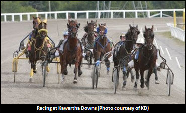 Kawartha Looking To Double Dates