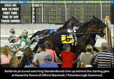 Bettor B Going Impresses