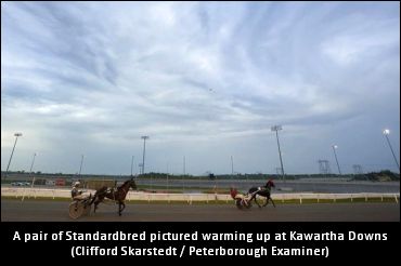 Kawartha Slots Area Re-Opening