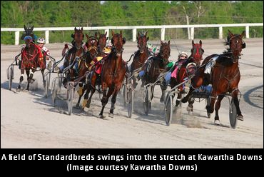 Sittler At Kawartha Downs Saturday