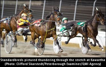 Kawartha Wants More Dates