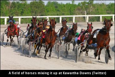 Shorelines Drivers’ Championship Info