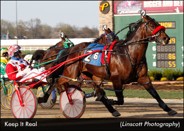 Keep It Real Retired, To Stud