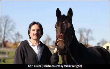 Tucci Calls For Unity