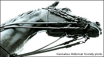 Thompson Following The 'Trotting Trail'