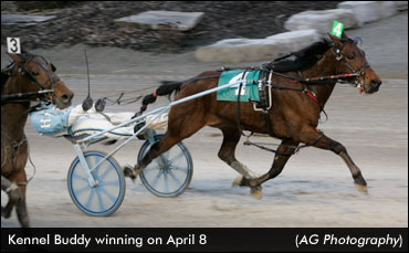 Kennel Buddy Cruises In Preferred