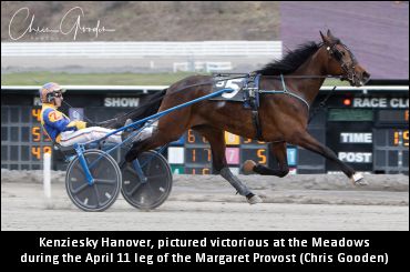 Filly Is More Than Just A Flashy Name Filly Is More Than Just A Flashy Name