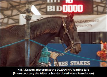 ASHA Yearling Sale In The Books