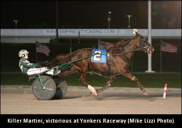 Searching For A Fitting Victory