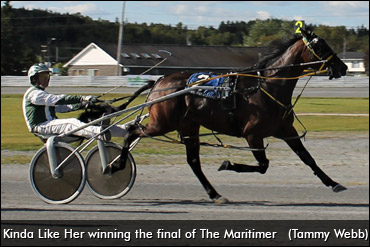 Kinda Like Her Wins The Maritimer
