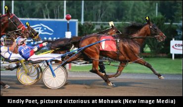 A Millionaire “Pet” For Brethour?