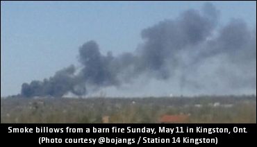 Horses Perish In Kingston Blaze