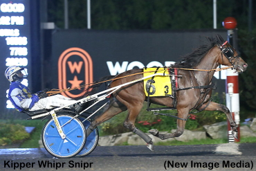 Colts Clash In Harvest Series