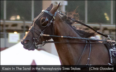 Favoured Fillies Deliver In PA Stakes