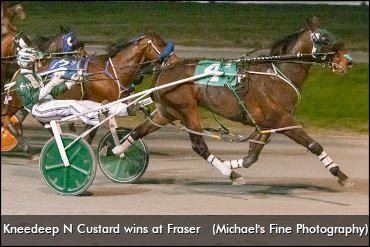 Kneedeep N Custard Sold