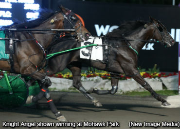 Stage Set For Dream Of Glory Final