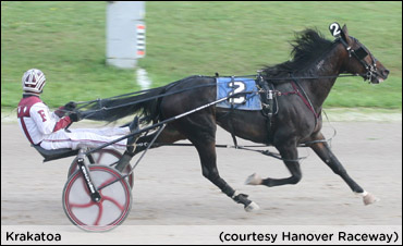 Field Set For Dream Of Glory Trot 