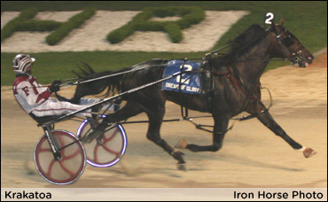 Dream Of Glory To Krakatoa; Malicious Lowers All-Age Track Record