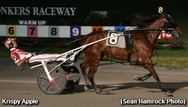 Krispy Apple Sets Yonkers Record