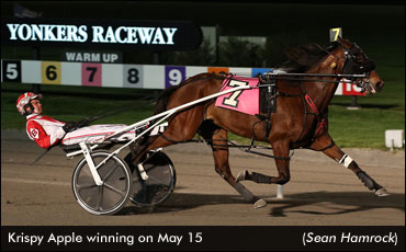 Krispy Apple Repeats In Yonkers Open