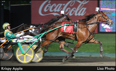 Krispy Apple Sharp In Miss New Jersey Prep