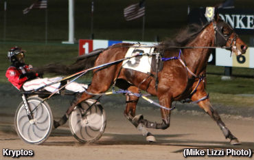 Petticoat Perfection For Kryptos 