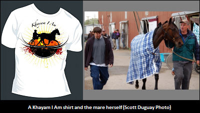 'Average' Mare, Above-Average Following