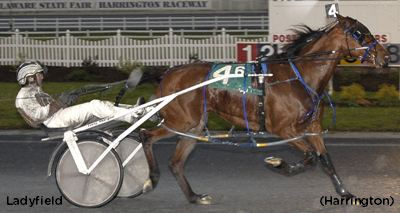 Ladyfield Impressive Tuesday