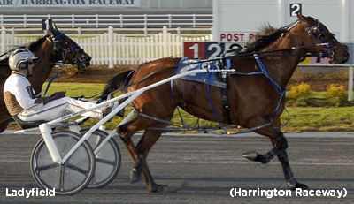 Ladyfield Returns Home A Winner