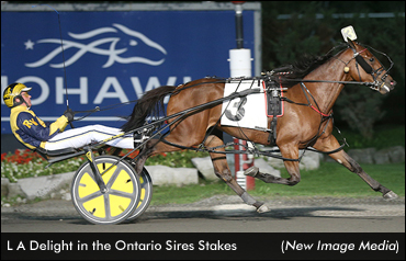L A Delight Perfect In Sires Stakes
