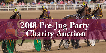 New Vocations Seeks Auction Items