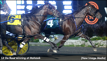 Lit De Rose Lands In Mohawk Preferred