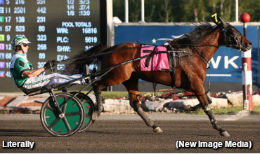 Upsetters Rule In Mohawk Grassroots