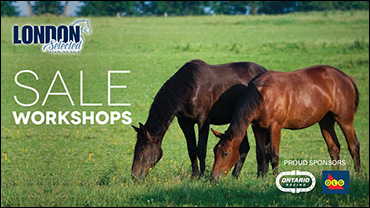Workshops At London Selected Sale