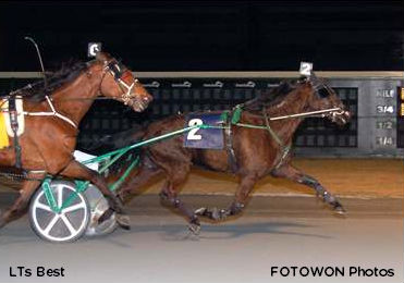 LTs Best Takes Open Trot At Dover