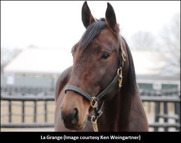 Down Under Trotter Nears NA Debut