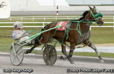 Lady Neigh Neigh Takes Century Open