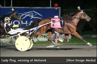 Ontario-Sired Stars Sweep Preferreds