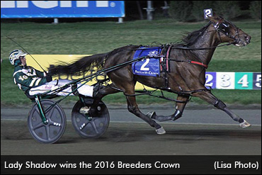 A 'Lady' In Waiting...For Now