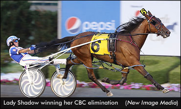More Speed Left For Lady Shadow?
