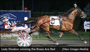 Milton Stakes Set For Saturday