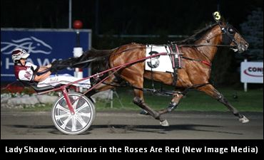 Lady Shadow To Enter At Mohawk