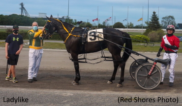 Ladylike Scorches Atlantic Mares Record 