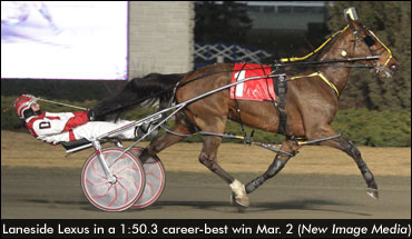 Laneside Lexus Stays Perfect In Canada